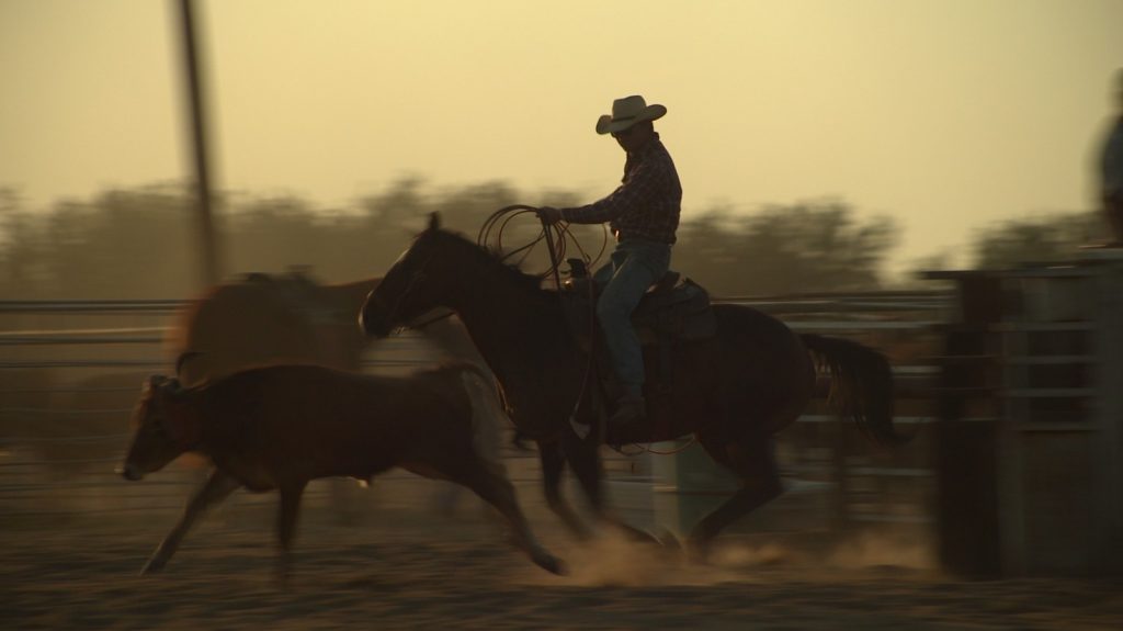 We Went to War Cowboy_Roping2